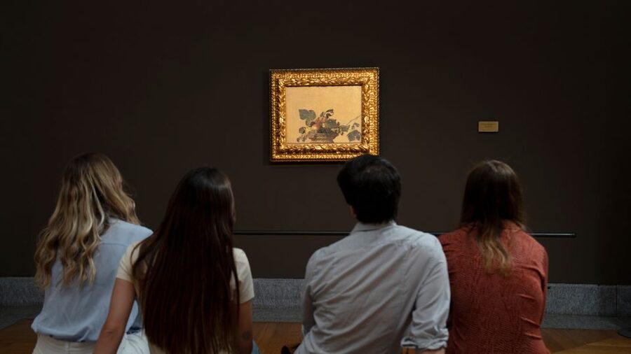 Milan: Pinacoteca Ambrosiana and San Sepolcro Crypt Ticket - Key things to know before you go