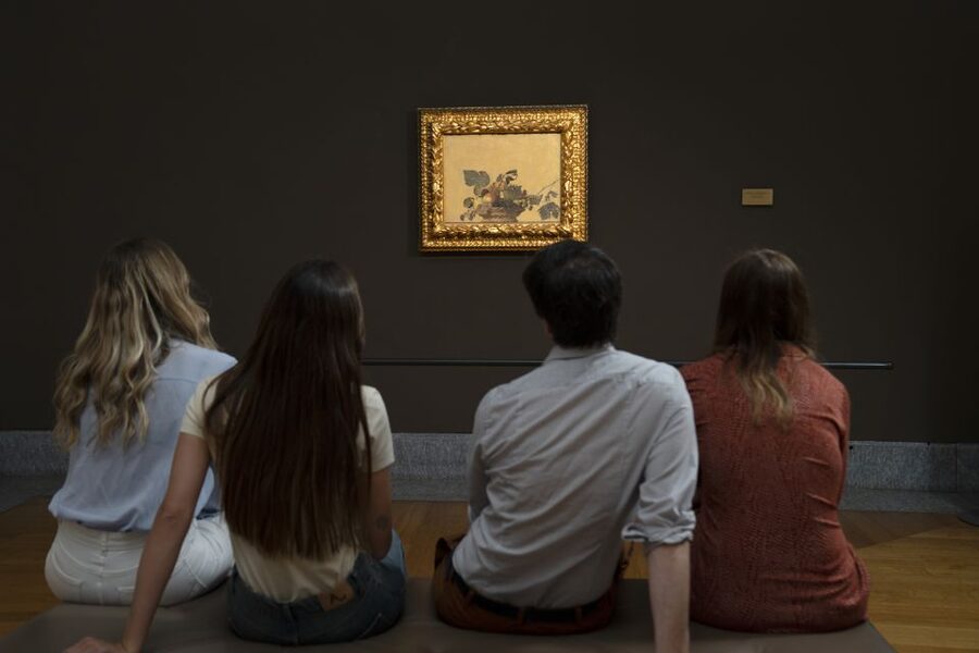 Milan: Pinacoteca Ambrosiana & da Vinci Codex Exhibition - How long to budget for a one-day Milan art stop