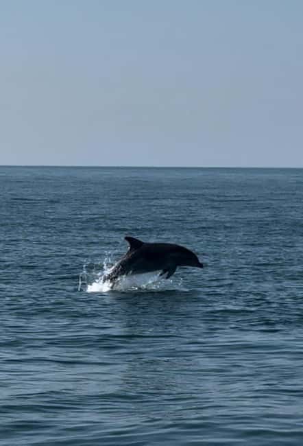 Milano Marittima: Riviera Romagnola Half-Day Boat Tour - Dolphins, Weather, and When the Sea Decides