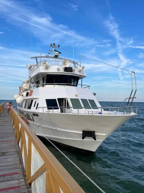 Milano Marittima: Riviera Romagnola Half-Day Boat Tour - The Onboard Seafood Sampler, Fried Sardines, and Seagull Moments
