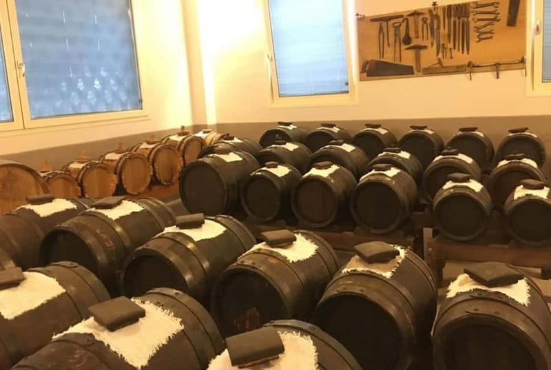 Modena: Guided Balsamic Vinegar Cellar Tour & Optional Meal - Practical tips for timing, comfort, and getting there