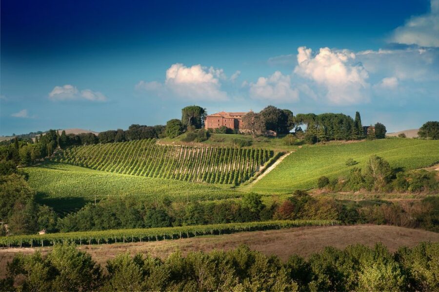 Montalcino: Brunello Wine Tasting & Lunch in a Tuscan Castle - The tasting: 3 wines, snacks, and how to taste like a pro