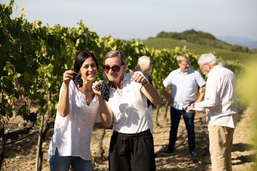 Montalcino: Guided Winery Tour and Wine Tasting - The Walk Through Vineyards: Smell, Touch, See