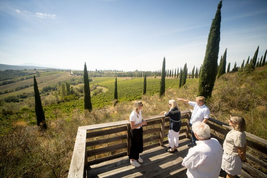 Montalcino: Guided Winery Tour and Wine Tasting - From Grapes to Cellar: Processing and Cross-Vaulted Aging