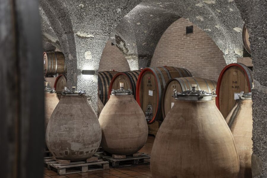Montalcino: Guided Winery Tour & Gourmet Food Tasting - Who should book this Montalcino experience
