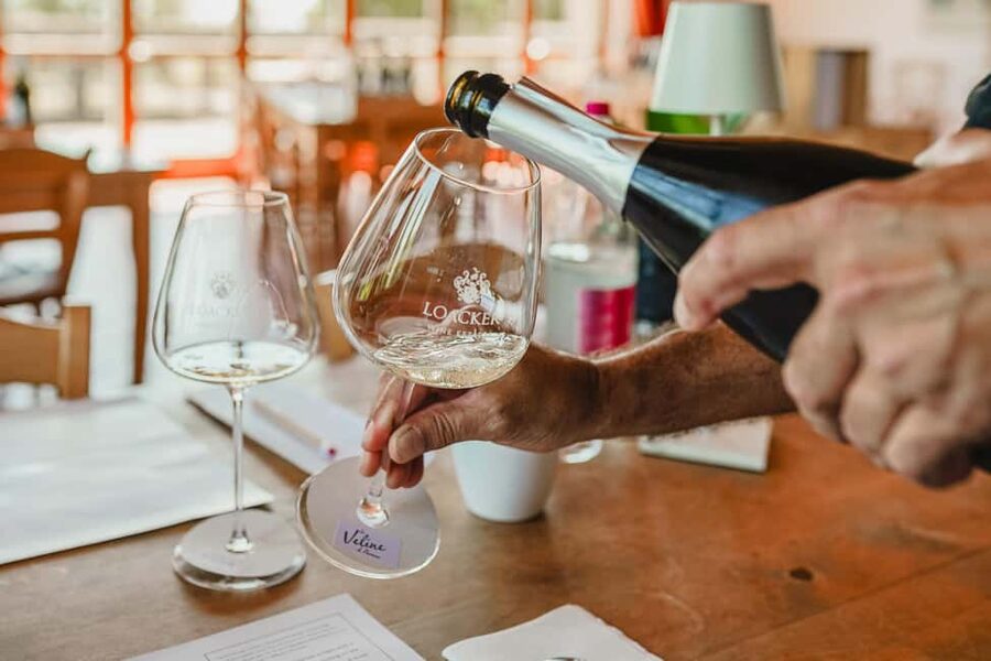 Montalcino: Guided Winery Tour & Gourmet Food Tasting - Views, timing, and comfort tips for hot Tuscan days