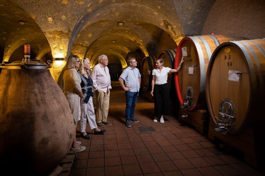 Montalcino: Guided Winery Tour & Gourmet Food Tasting - Price and value: is $94 per person worth it?
