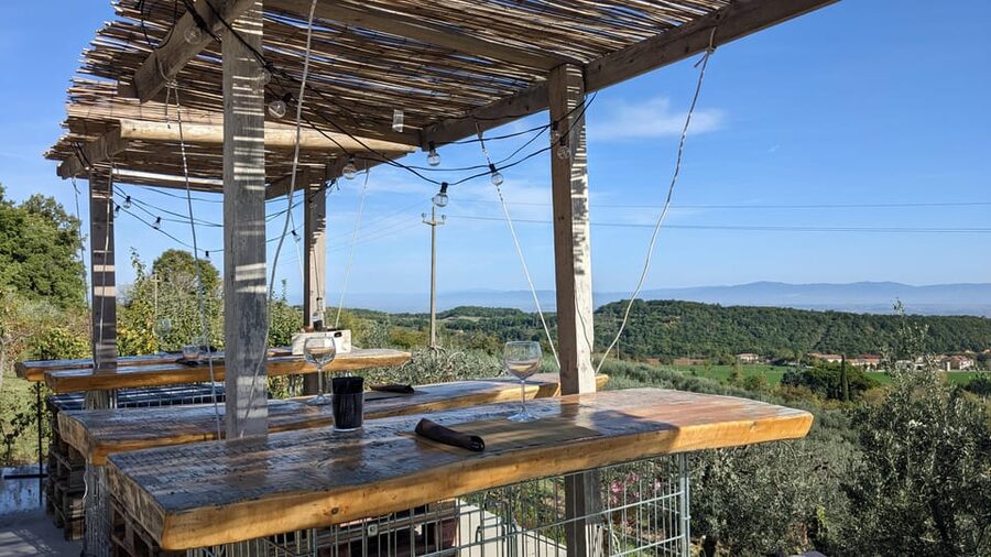 Montepulciano: Artisan Heroic Wine Tasting at the Terrace - Guides and the small-winery feel at Podere della Bruciata