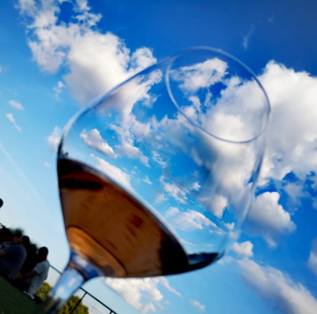 Montepulciano: Artisan Heroic Wine Tasting at the Terrace - Who will love this tour, and who should think twice