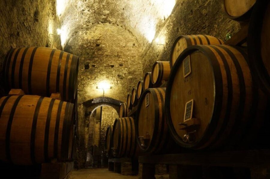 Montepulciano: Wine Tasting and Cellar Tour - Inside the medieval cellar: barrels, wood, and that wow factor