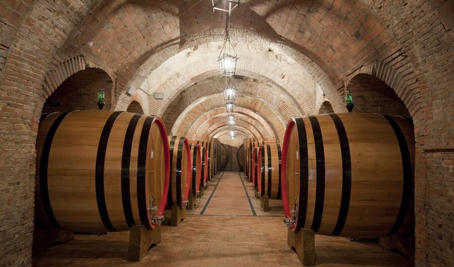 Montepulciano: Wine Tasting & Lunch in a Typical Winery - Talosa Cantina Storica: Show up early for the best experience