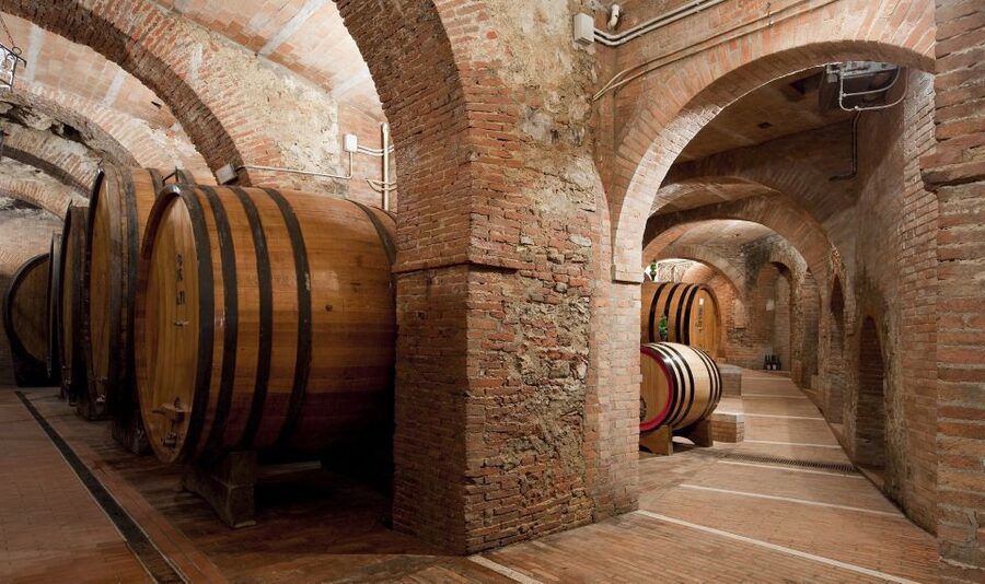 Montepulciano: Wine Tasting & Lunch in a Typical Winery - Who this tour fits best, and who should skip it