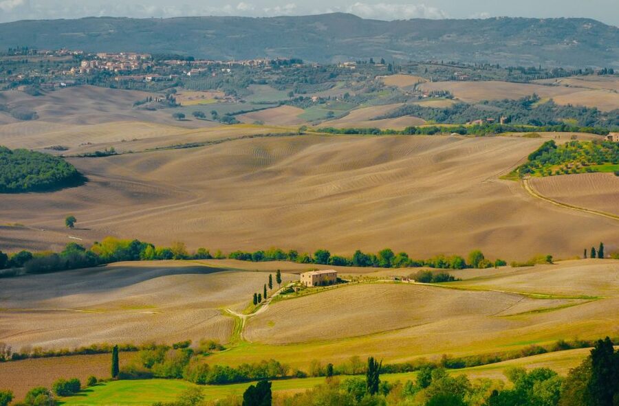 Montepulciano: Wine Tasting & Lunch in a Typical Winery - Inside the ancient cellar: Vaults, tunnels, and wine-making steps