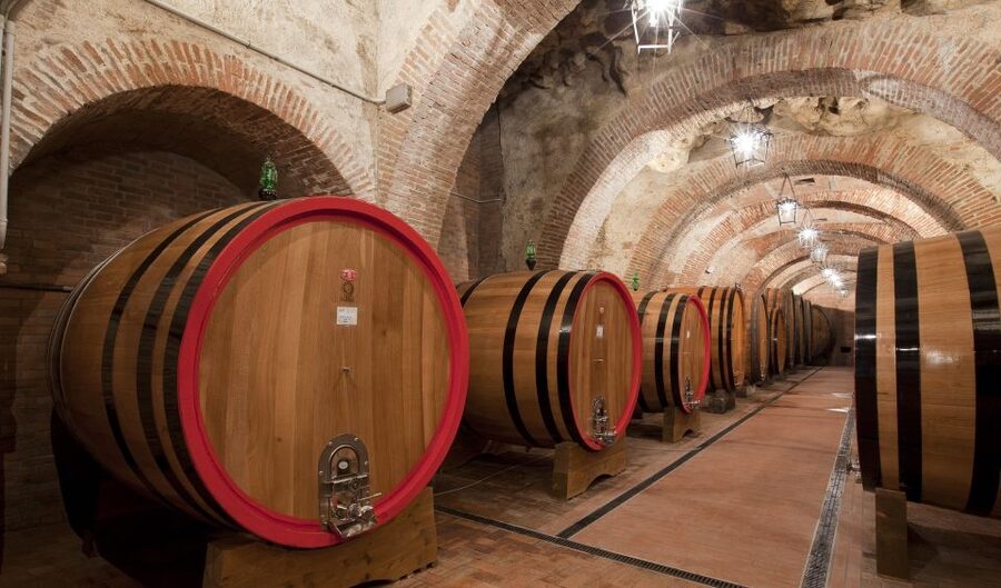 Montepulciano: Winery Tour and Tasting - Final Take: Should You Book This Montepulciano Winery Tour and Tasting?