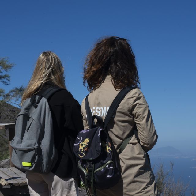 Mount Vesuvius: Skip-the-Line Ticket and Smart Digital Guide - Key highlights before you go