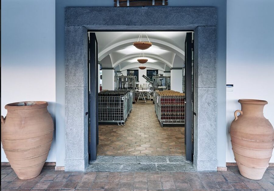 Mount Vesuvius: Vineyard Tour with Wine Tasting and Lunch - What can go wrong, so you know before you book