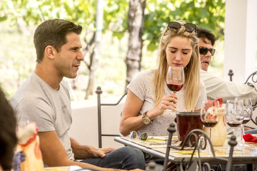 Mount Vesuvius: Vineyard Tour with Wine Tasting and Lunch - The views: Naples Bay, Sorrento, and Capri