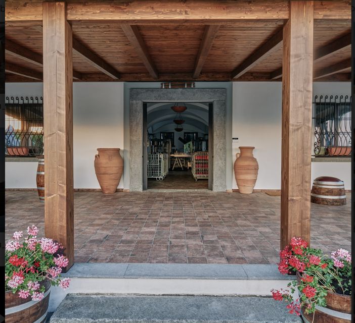 Mount Vesuvius: Vineyard Tour with Wine Tasting and Lunch - Pricing and value: what $65 really buys