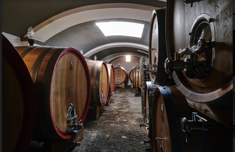 Mount Vesuvius: Vineyard Tour with Wine Tasting and Lunch - Who this tour suits, and who should skip it