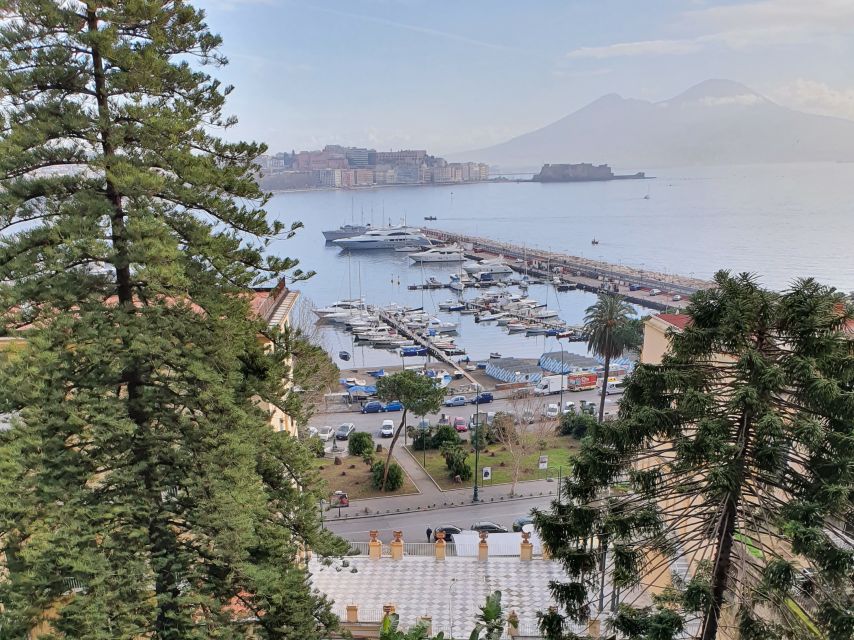 Naples: Naples, Pompeii, and Vesuvius Full-Day Tour - Torre del Greco to Vesuvius National Park: Getting Ready for the Climb