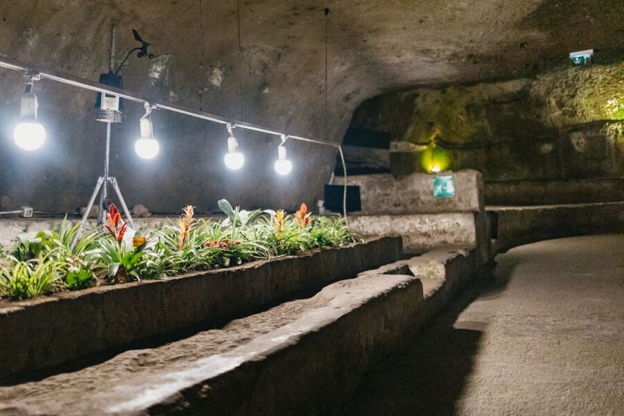 Naples: Naples Underground Entry Ticket and Guided Tour - How the guide, app, and language support keep you on track