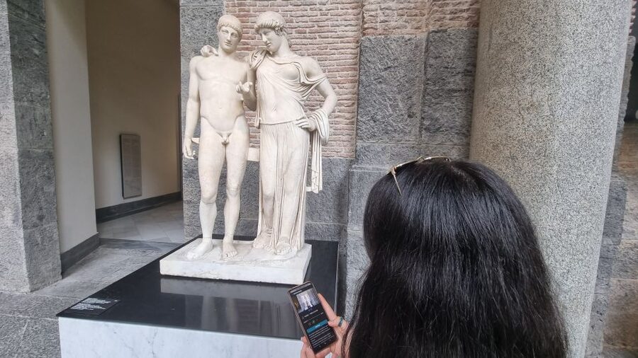 Naples: National Archaeological Museum audio guide - Who this is best for