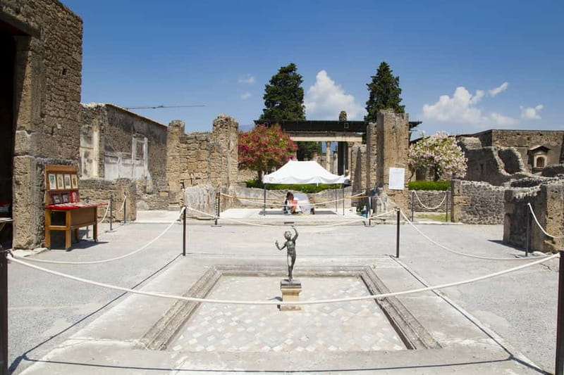 Naples or Sorrento: Full-Day Pompeii and Mount Vesuvius Tour - Pompeii and Mount Vesuvius in One Day, From Naples or Sorrento