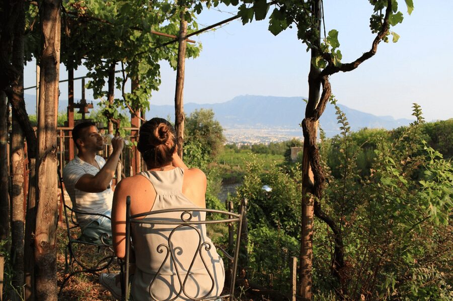Naples: Pompeii and Herculaneum Tour with Tickets and Lunch - Key things to know before you go