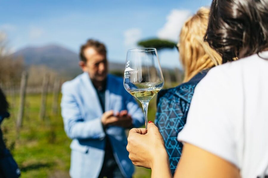 Naples: Pompeii and Mt. Vesuvius with Lunch and Wine Tasting - Naples pickup, timing, and the part you should double-check