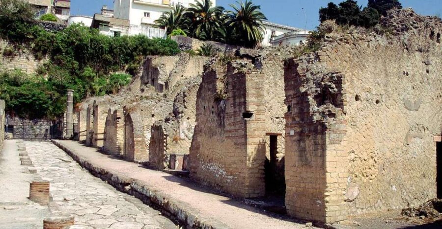 Naples: Pompeii, Herculaneum, and Vesuvius Tour by Minivan - Key points to know before you go