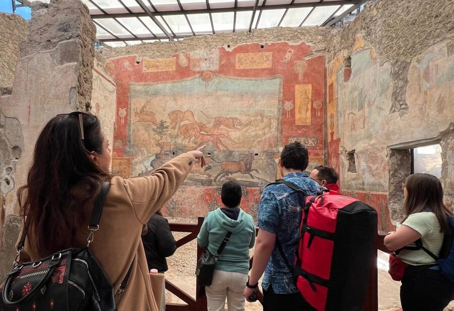 Naples: Pompeii & Mt. Vesuvius Day Trip with Tickets & Lunch - Key highlights and why they matter