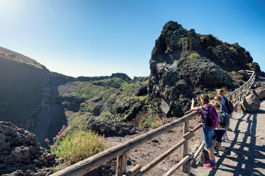 Naples: Pompeii & Mt. Vesuvius Day Trip with Tickets & Lunch - Guides and drivers: what really makes the day feel smooth