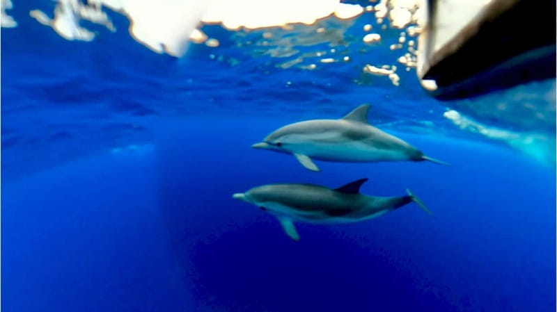 Naxos: Taormina Boat Tour with Snorkeling and Prosecco - Aperitivo, fruit, music, and White Lotus spotting on the ride