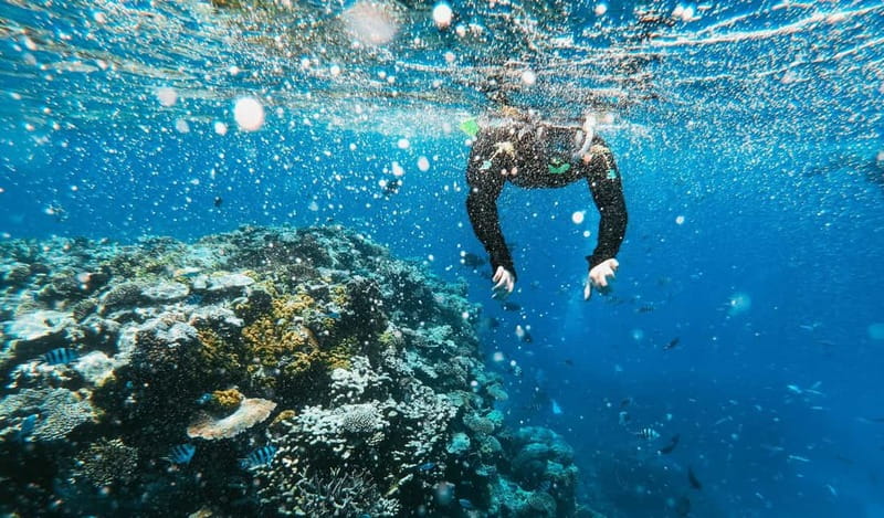 Naxos: Taormina Boat Tour with Snorkeling and Prosecco - Who should book this boat tour, and who might want a different plan