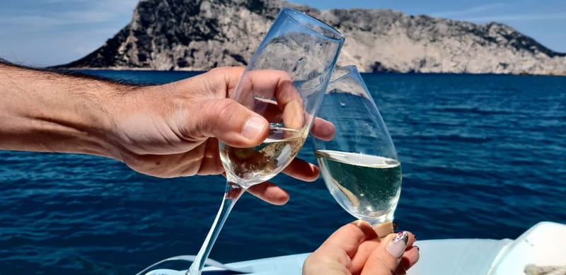 Olbia: Boat tour to watch Dolphins and snorkeling - Key things I’d circle on your Olbia plan