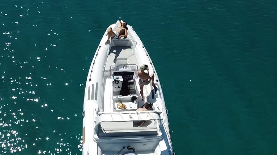 Olbia: Boat tour to watch Dolphins and snorkeling - Dolphin Watching With Bottlenose Focus (and Respect for Their Space)