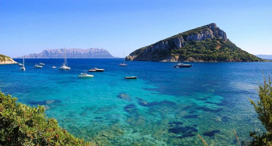 Olbia: Dolphin Watching and Snorkeling Boat Tour - Practical tips so your morning goes smoothly