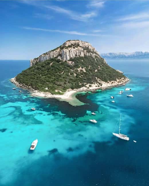 Olbia: Dolphin Watching & Snorkeling Boat Tour near Figarolo - What to Pack and How to Stay Comfortable on the Water