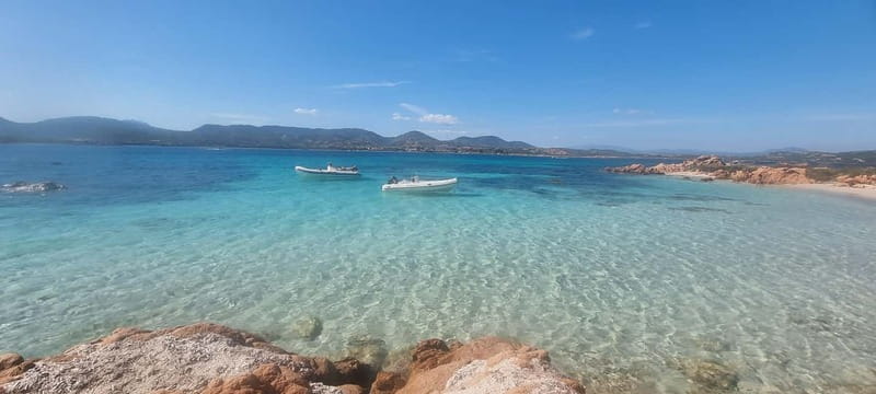 Olbia: Dolphin Watching & Swim and snorkel in Capo Figari - Key points before you go