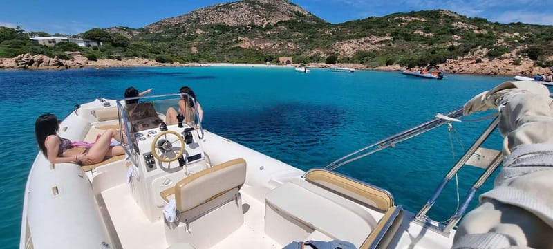 Olbia: Dolphin Watching & Swim and snorkel in Capo Figari - Where You Go: Figarolo Island near Capo Figari (from Olbia)