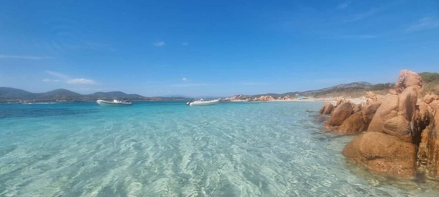 Olbia: Dolphin Watching & Swim and snorkel in Capo Figari - Dolphin watching near Figarolo: what you’re actually doing