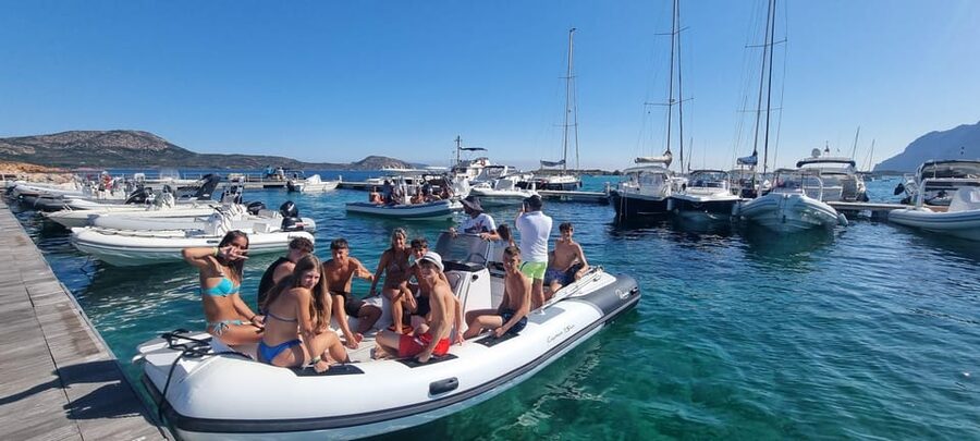 Olbia: Dolphin Watching & Swim and snorkel in Capo Figari - Who should book this dolphin and snorkeling tour