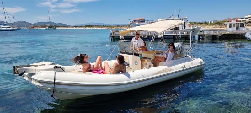 Olbia: Dolphin Watching & Swim and snorkel in Capo Figari - Starting at MOYS Marina: timing and boarding details that matter