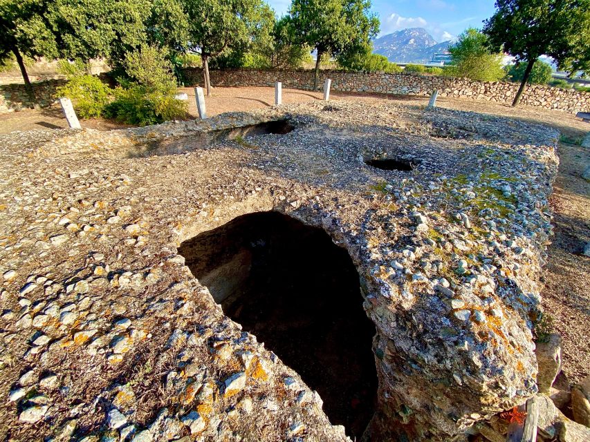 Olbia: Exclusive Guided City Tour in Tuk-Tuk - Audio Guide in 6 Languages, and How to Use It Well