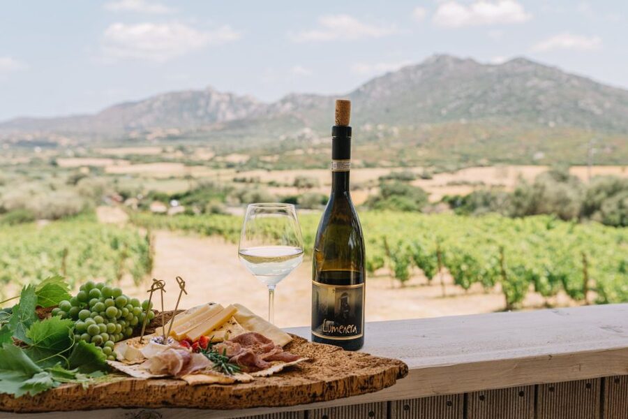 Olbia: Gallura Winery Guided Tour with Tasting - Key highlights you should care about