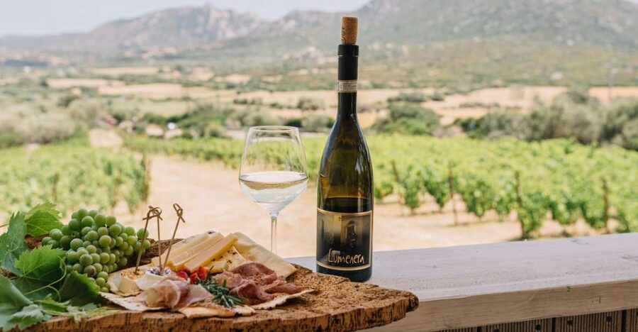 Olbia: Gallura Winery Guided Tour with Tasting - Where This Olbia Winery Tour Really Wins