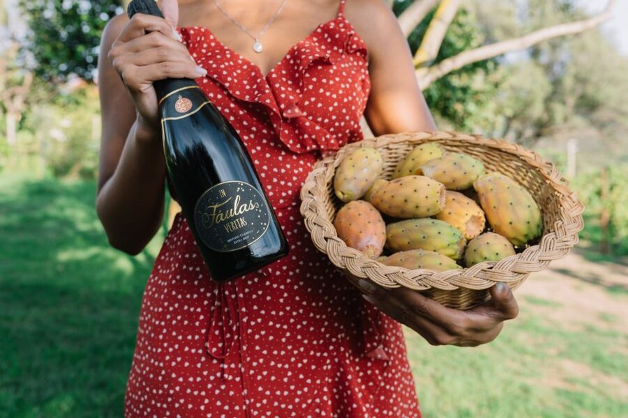 Olbia: Gallura Winery Guided Tour with Tasting - The 1.5 Hour Flow: Vineyard Walk, Winery Rooms, Then the Tasting