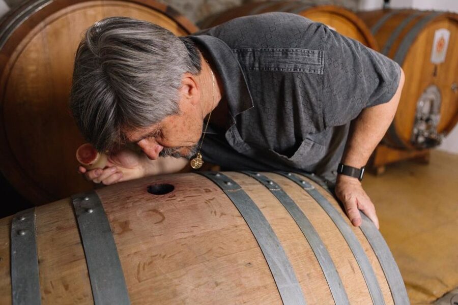 Olbia: Gallura Winery Guided Tour with Tasting - Vineyard and Cellar Stops: What You Actually Learn
