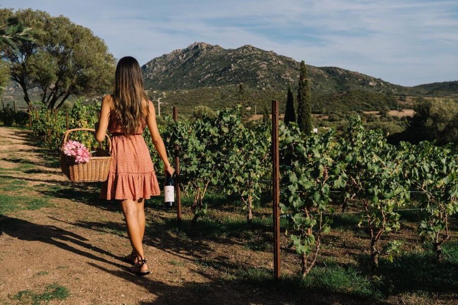 Olbia: Gallura Winery Guided Tour with Tasting - The Three-Wine Tasting: Local Wines, Paired Snacks, No Fuss