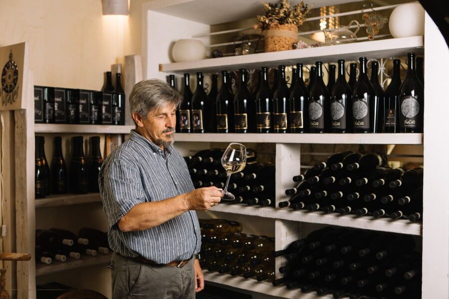Olbia: Gallura Winery Guided Tour with Tasting - Price and Value: Is It Worth $61 for 1.5 Hours?